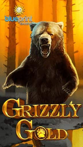 Icon Grizzly Gold