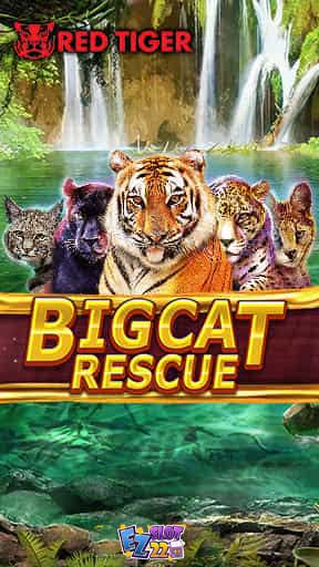 Icon ทดลองเล่นสล็อต Big Cat Rescue Megaways ค่าย Red Tiger ใหม่มาแรง2023